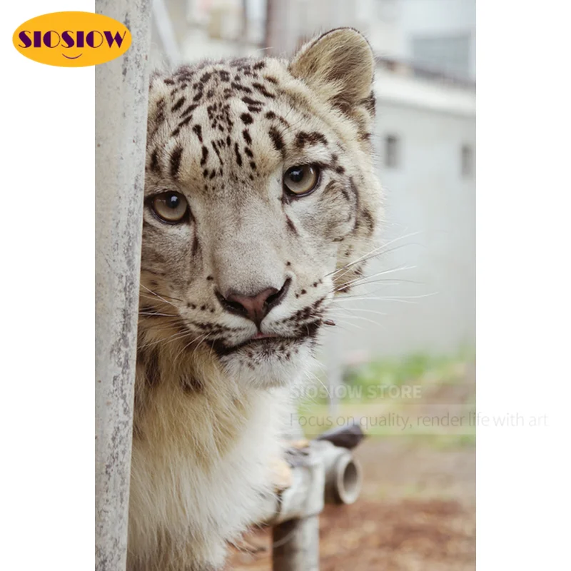 5d Diy Diamond Painting Snow Leopard Full Drill Square 3d Pictures Daimond Mosaic Paintings Embroidery Animal Cross Stitch Kits | Дом и сад