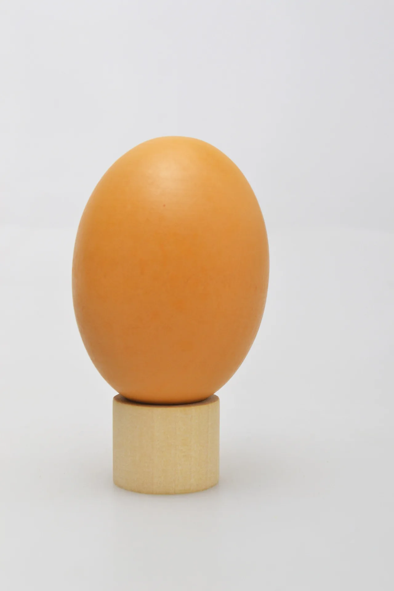От производителя деревянная модель яйцо трюк белый зеленая утка яйца дети играть дом игрушки еда реквизит