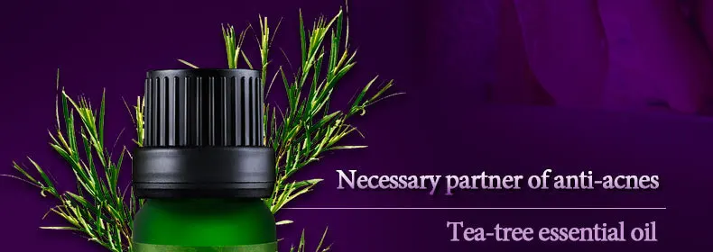 lavender_19