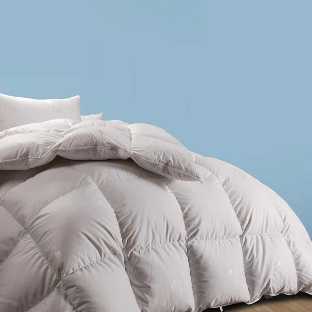 

2020 New down comforter 95 white goose down five-star hotel winter warm double single quilt quilt core goose down quilt