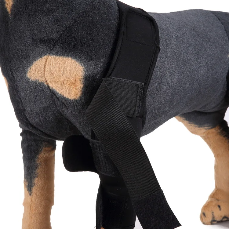 Наколенники для собак защитные наколенники гетры черные светоотражающие защитные леггинсы с изображением собак