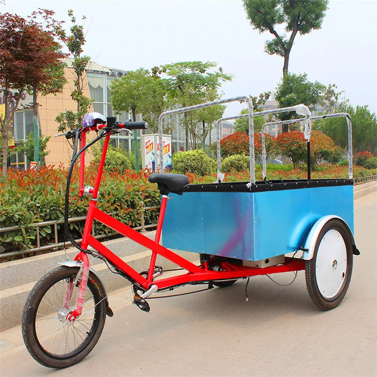 electric cargo trike