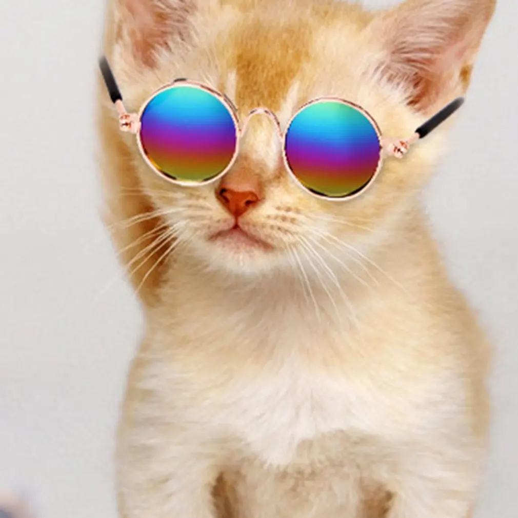 Pet Cat очки собачьи очки товары для домашних животных для маленьких собак кошачий глаз Одежда для собак Солнцезащитные очки реквизит для фотографий аксессуары для животных принадлежности игрушки