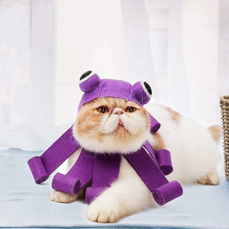 halloween-cat-costume(6)