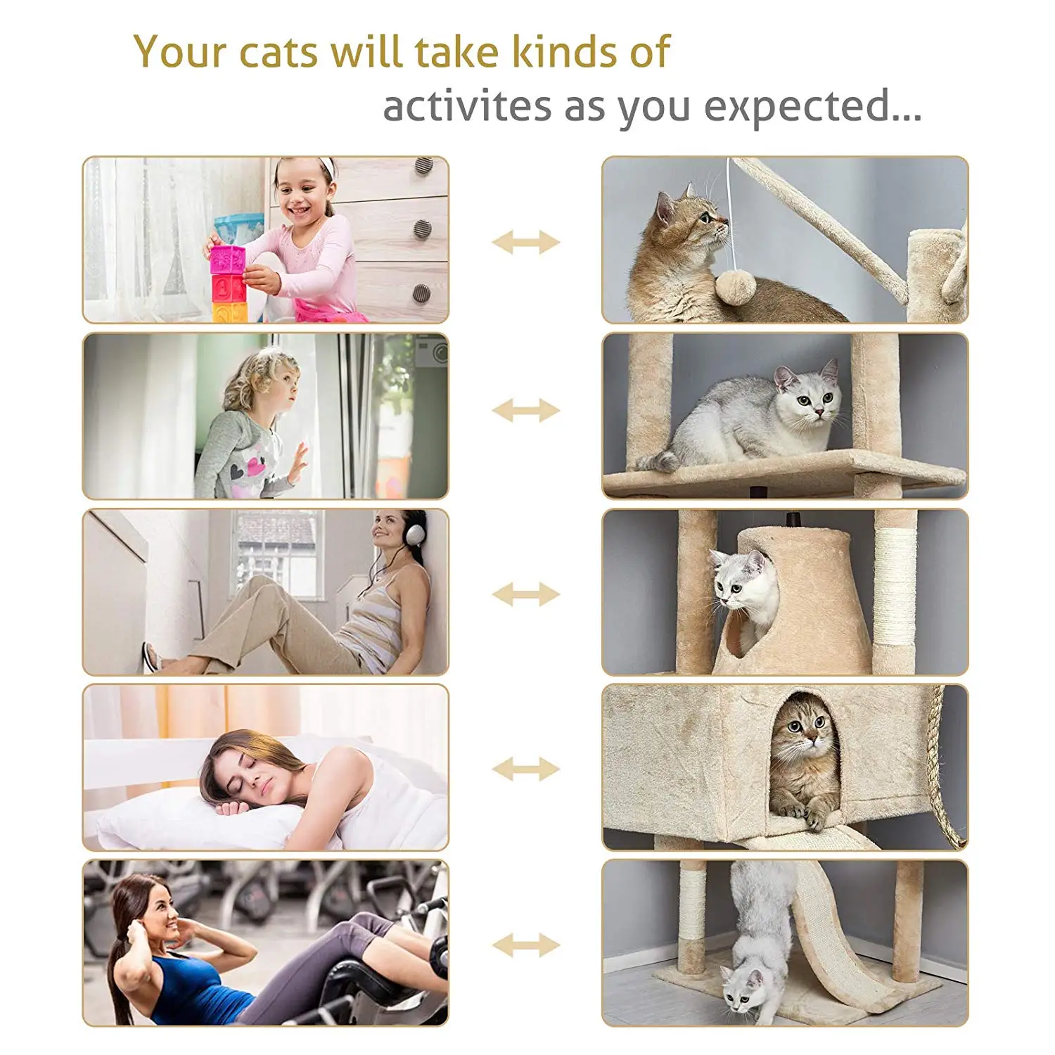 Maison pour chat