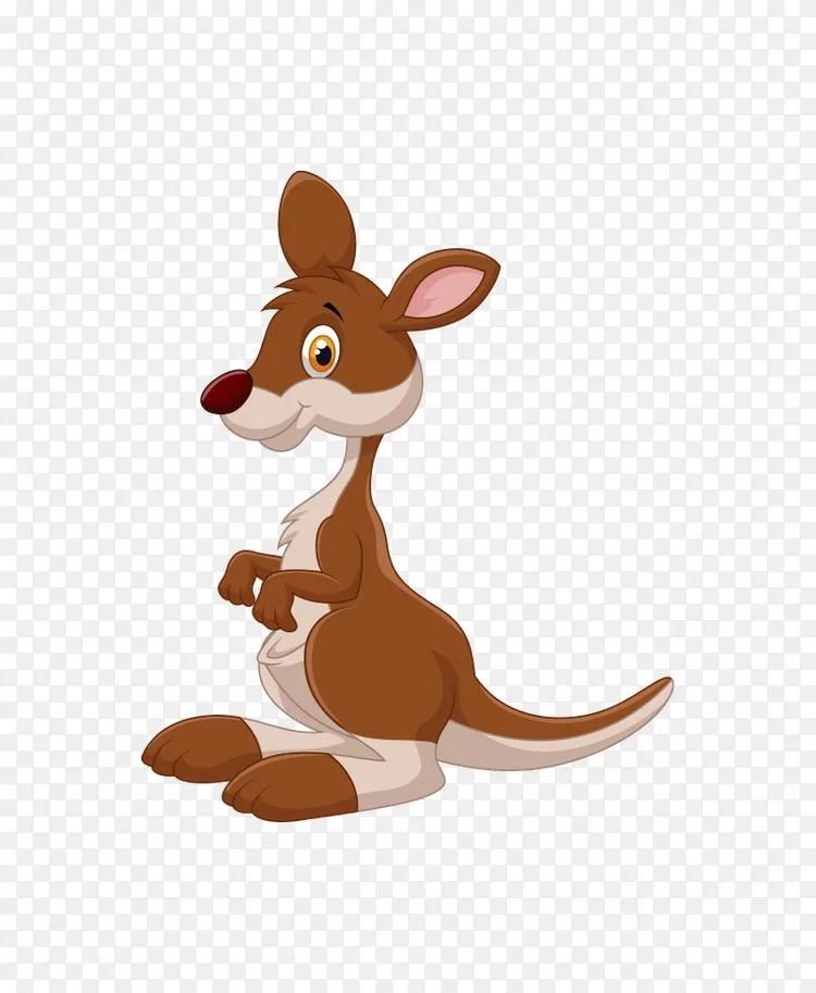 澳大利亚树袋熊区系