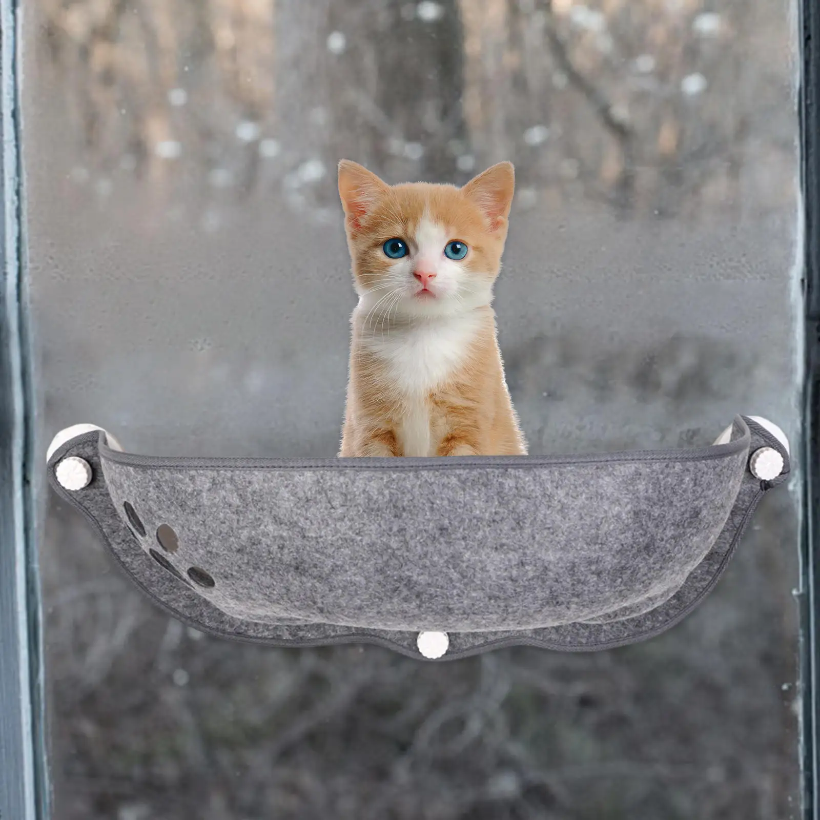 Learn about 120+ imagen cat window seat car In.thptnganamst.edu.vn