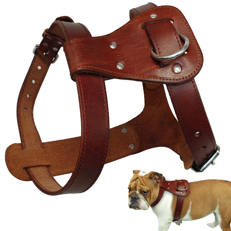 soft leather dog harness