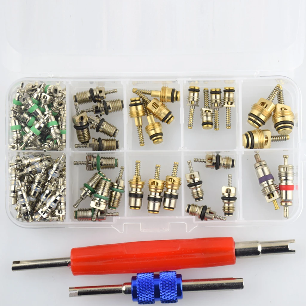 102pcs A/C System Schrader Valve Cores With Remover Tool Kit For R12/ R134A HV