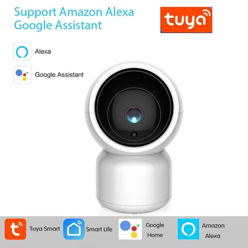 ip cameras that work with google home