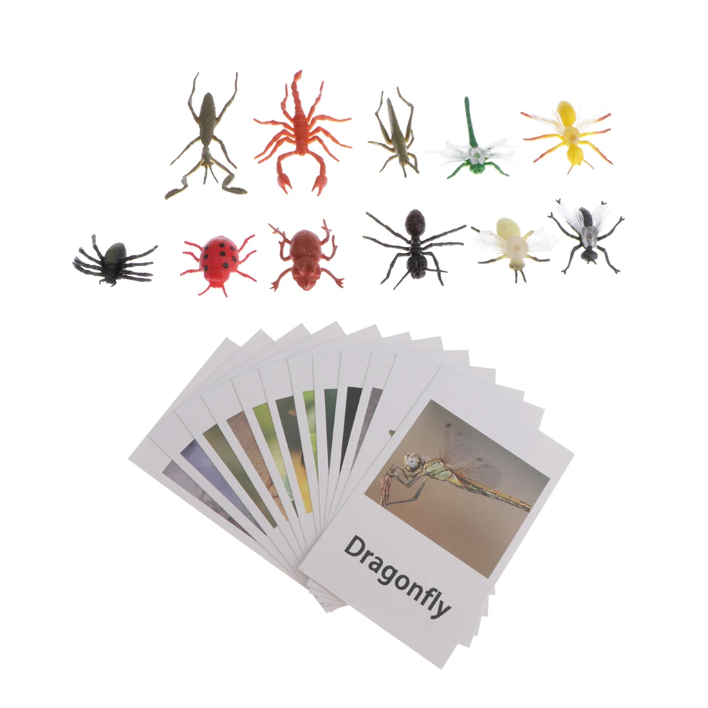 Montessori Insect Animal Match - Miniature Insects Figurines (12pcs) with Matching Cards (12pcs) - 2 Montessori Learning Toy