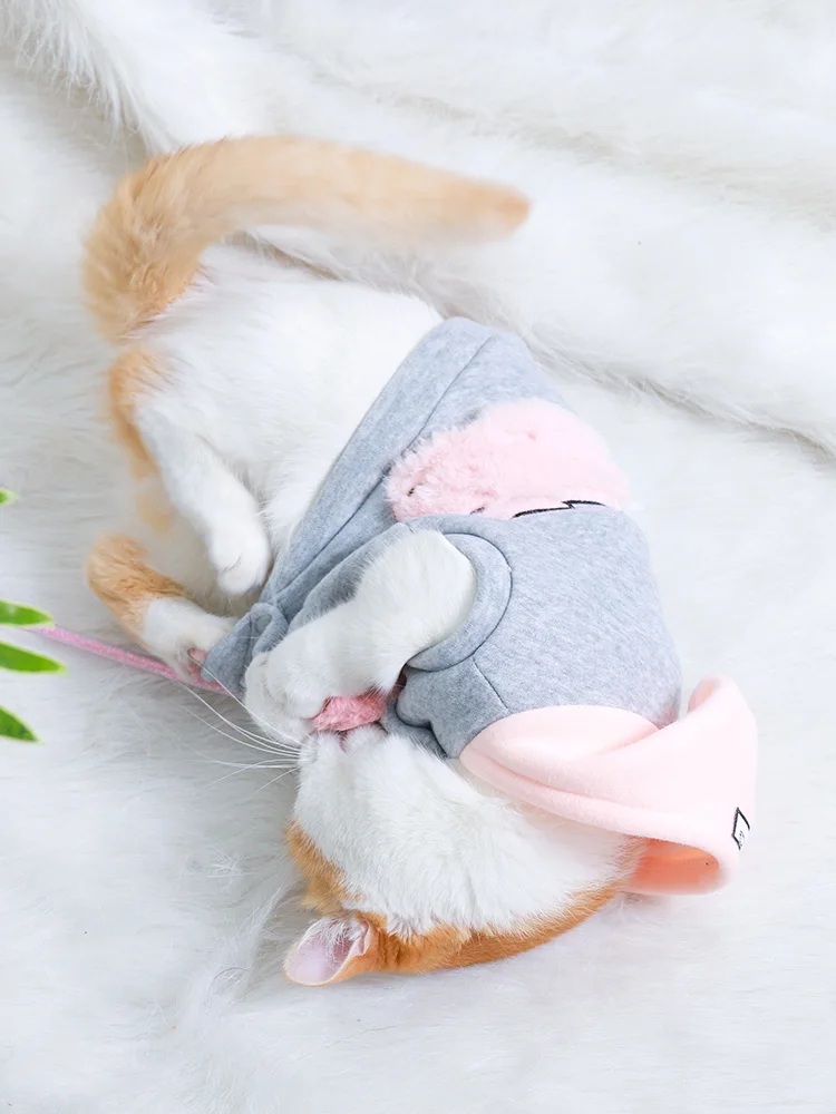 Cat Clothes Prevent Hair Lovely Pet Clothing Kitten Cat Clothes Keep Warm and Thick Autumn and Winter Bipedal Clothes BB5WY048