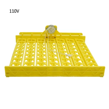 

Automatic Hatchery Machine Spare Parts 220V Capacity 56 Duck Chicken Eggs Incubator Trays with Auto Turn Motor