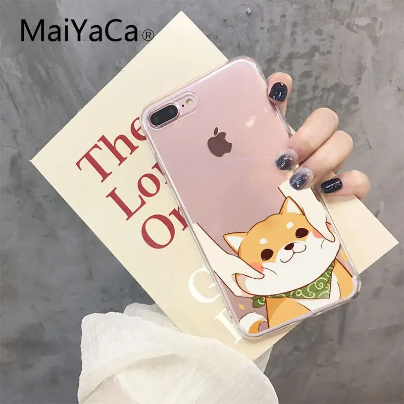 Shiba Inu Dog