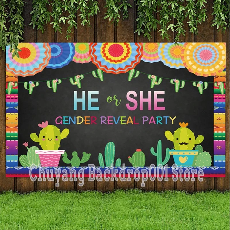 He Or She Gender Reveal Photo Backdrop Stars And Moon Baby Shower Party  Custom Photography Background Decor Banner Supplies - Backgrounds -  AliExpress