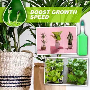 

38ml Nutrient Solution for Hydroponic Flower and Fertilizer of Fleshy Plants Universal Nutrient Solution for Hydroponic Plants