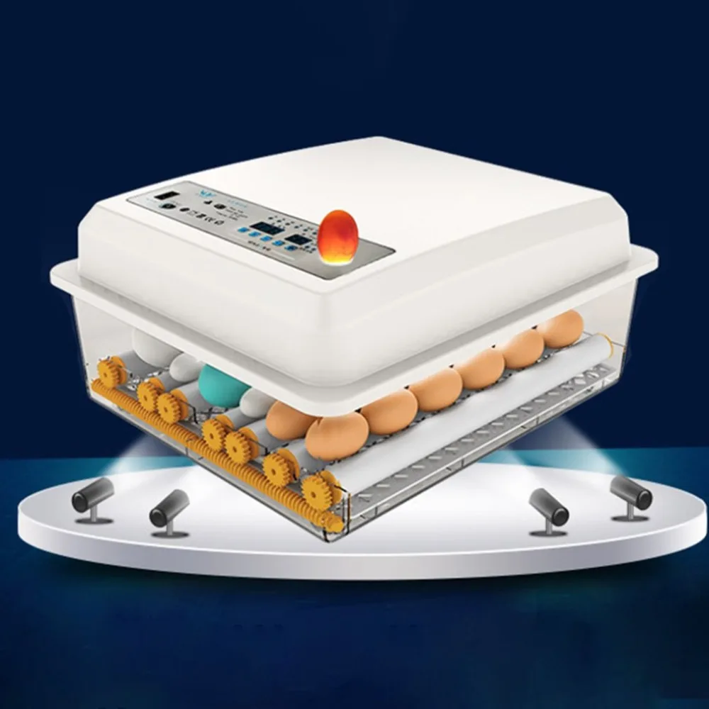 DZ75801-C-20081804-1