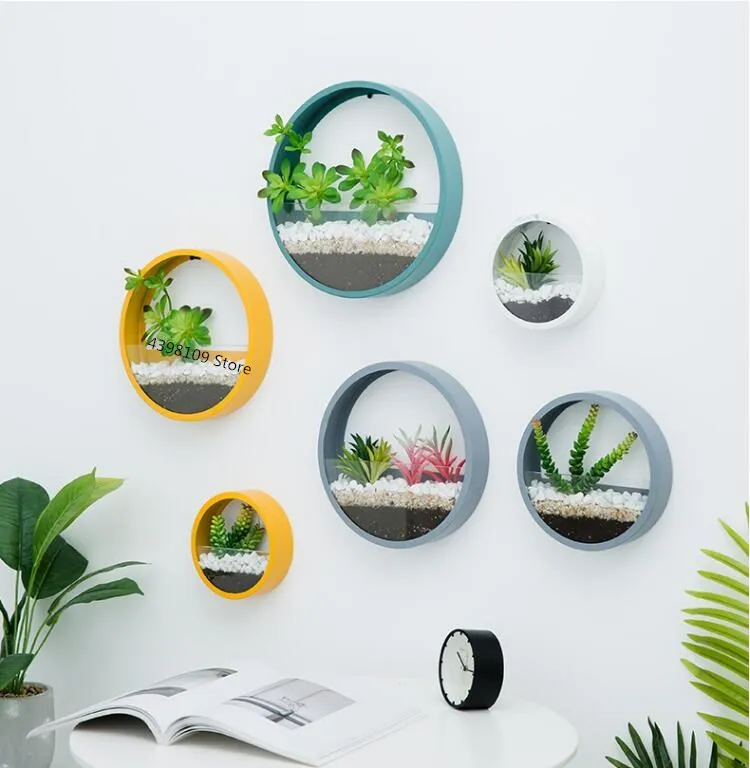 Najtaniej Proste do montażu na ścianie soczyste doniczkowe do montażu na ścianie wielofunkcyjny okrągły z kutego żelaza puli szkła kreatywny bonsai biżuteria dekoracji