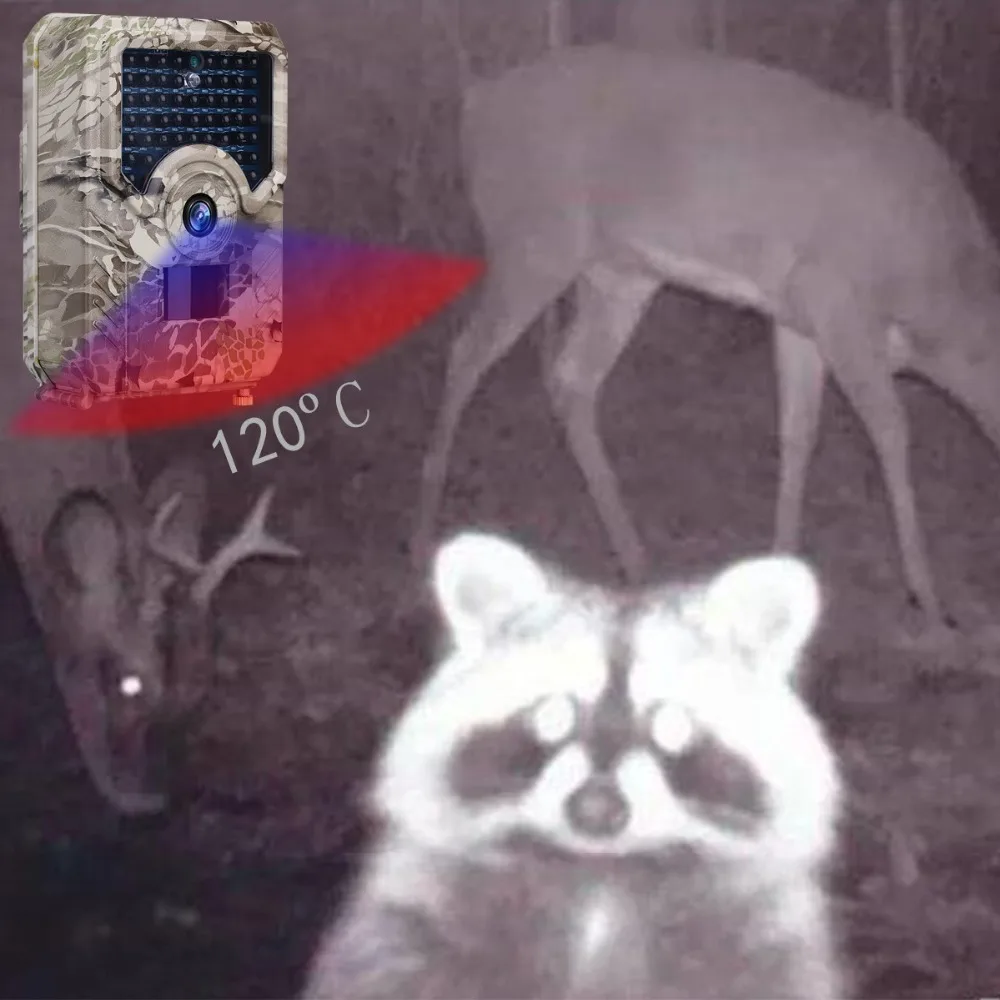 9956001477_595509838