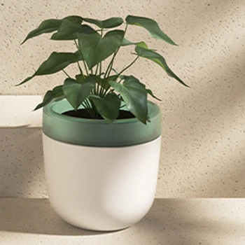 

Water-Free Water-Storing Flower Pots, Automatic Watering and Water-Absorbing Succulent Flower Pots