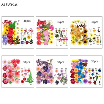 

Dried Flowers UV Resin Decorative Natural Flower Stickers 3D Dry Beauty Decal