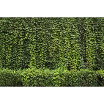 

Spring Green Plant Grassland Vine Leaves Scenery Baby Shower Birthday Backdrop Vinyl Photography Background For Photo Studio Pro