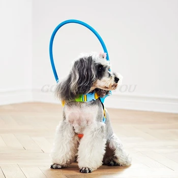 

Blind Dogs Pet Safe Harness Anti-collision Ring Pets Weak Color Guide Circle Animal Protection Collar Rings Drop Shipping