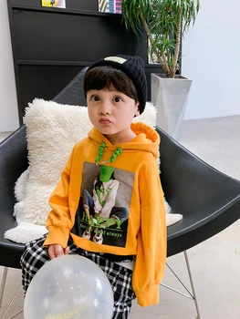 

Boys Hooded Sweater Children, Spring 2020) New Cotton Children Autumn Coat Baby Korean Version of the Western Style Spring