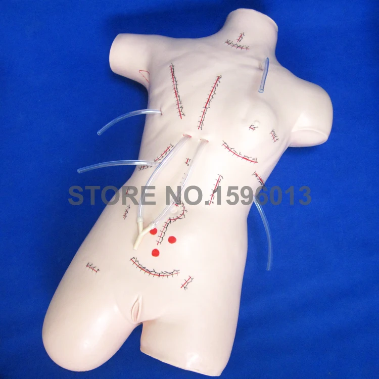 LV18 surgical manikin (1)