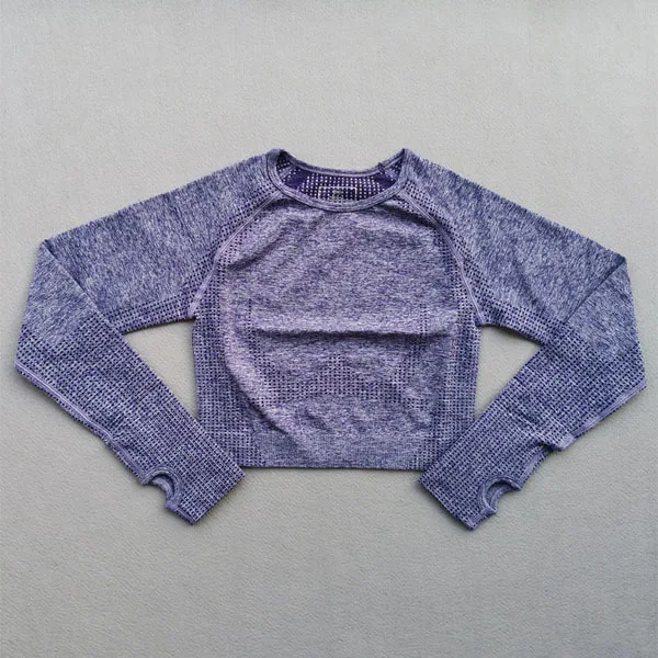 Purple top Женский бесшовный комплект для йоги, одежда для спортзала, леггинсы для фитнеса+ укороченные рубашки с длинным рукавом, 2 предмета, спортивные костюмы, женская одежда для активного отдыха - Цвет: Purple top