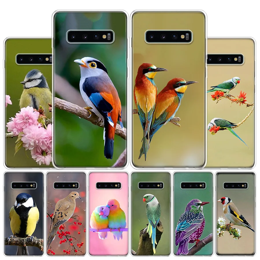 Милые птицы чехол для телефона Samsung Galaxy A51 A71 A50S A30S A10 A20E A40 A70 M30S A91 A01 A6 A7 A8 A9 плюс | Отзывы и видеообзор