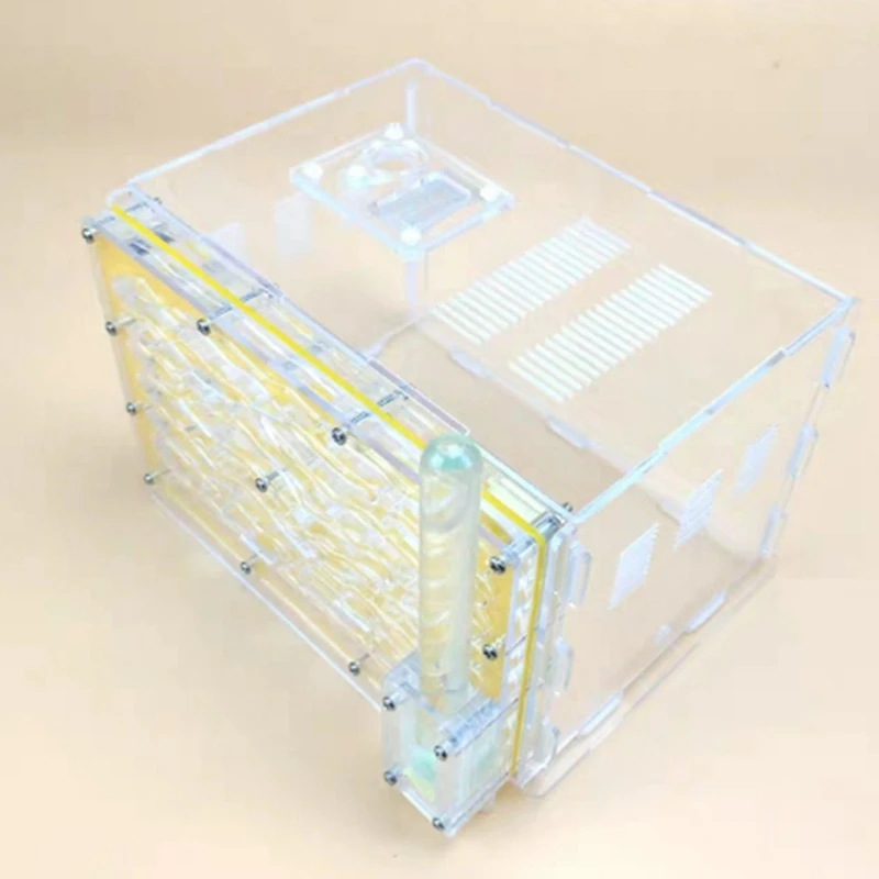 DIY влага с области кормления Муравьиное гнездо муравьиная ферма акриловые муравьиные гнезда вилла домашнее животное для домашние муравьи муравьиная мастерская Муравьиное гнездо научная головоломка