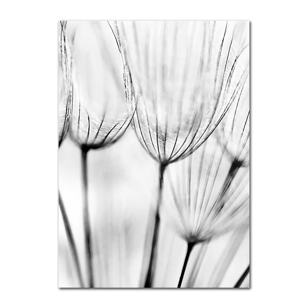Black-And-White-Canvas-Art-Painting-Life-Quote-Nordic-Posters-And-Print-Dandelion-Poster-Decoration-Wall (5)