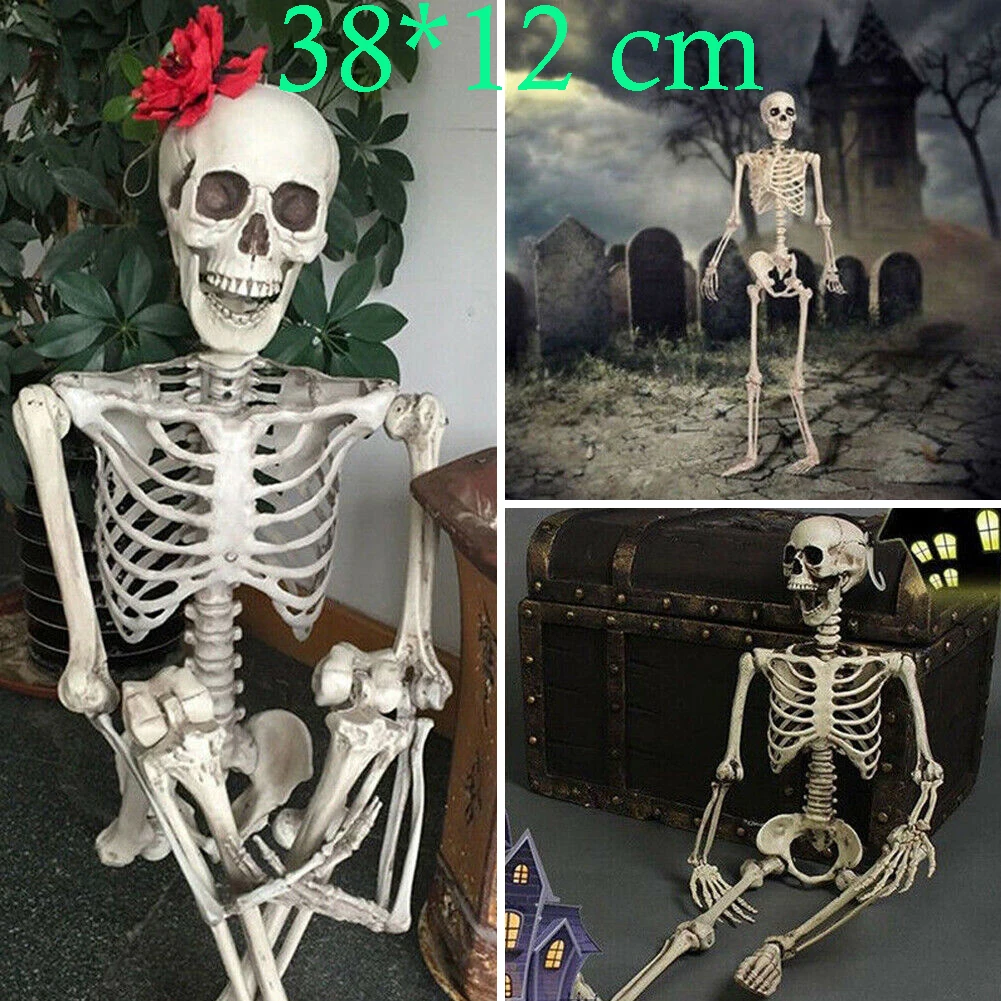 Новое поступление скелета Хэллоуин/Lehrmodell Anatomie/Bewegliches Menschliches скелета 40 см