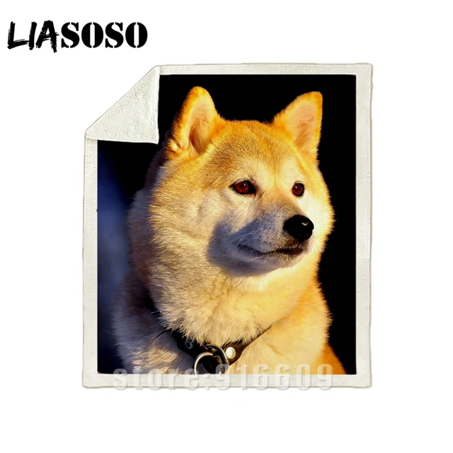 3d Print Sofa Bedding Patterned Office Harajuku Winter Shiba Inu Dog Blanket Cute Doge Bedspread Baby Travel Soft Outing Quilt T Shirts Aliexpress 3d Print Sofa Bedding Patterned Office Harajuku Winter Shiba Inu Dog Blanket Cute Doge Bedspread Baby Travel Soft Outing Quilt T Shirts Aliexpress
