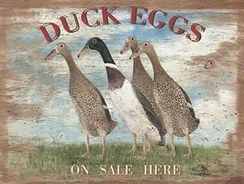 

Metal Signs Laundry Room Bar Garage Wine Cellar Farm Decor Ducks Eggs Retro Vintage Tin Sign 12 x 8 Inches