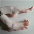 d05fab9e9ea4bbec2df05ab5d074243e_Hd7dcbf07e06545b5bb7e807ead96251f7