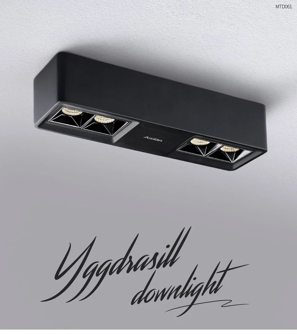 Aisilan LED surface mounted downlight ceiling spot it light living room corridor simple bedroom Nordic grille light