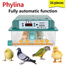 Инкубатор для яиц, полностью автоматический инкубатор, домашний инкубатор для курицы, инкубатор для птиц, 6-16 яиц