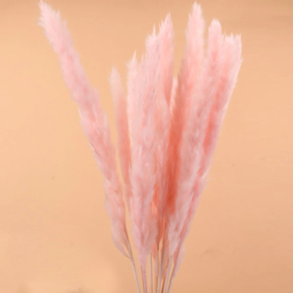 15 шт. Bulrush засушенный натуральный маленький пампасная трава Phragmites свадебный цветок букет 3 цвета для домашнего декора - Цвет: Розовый