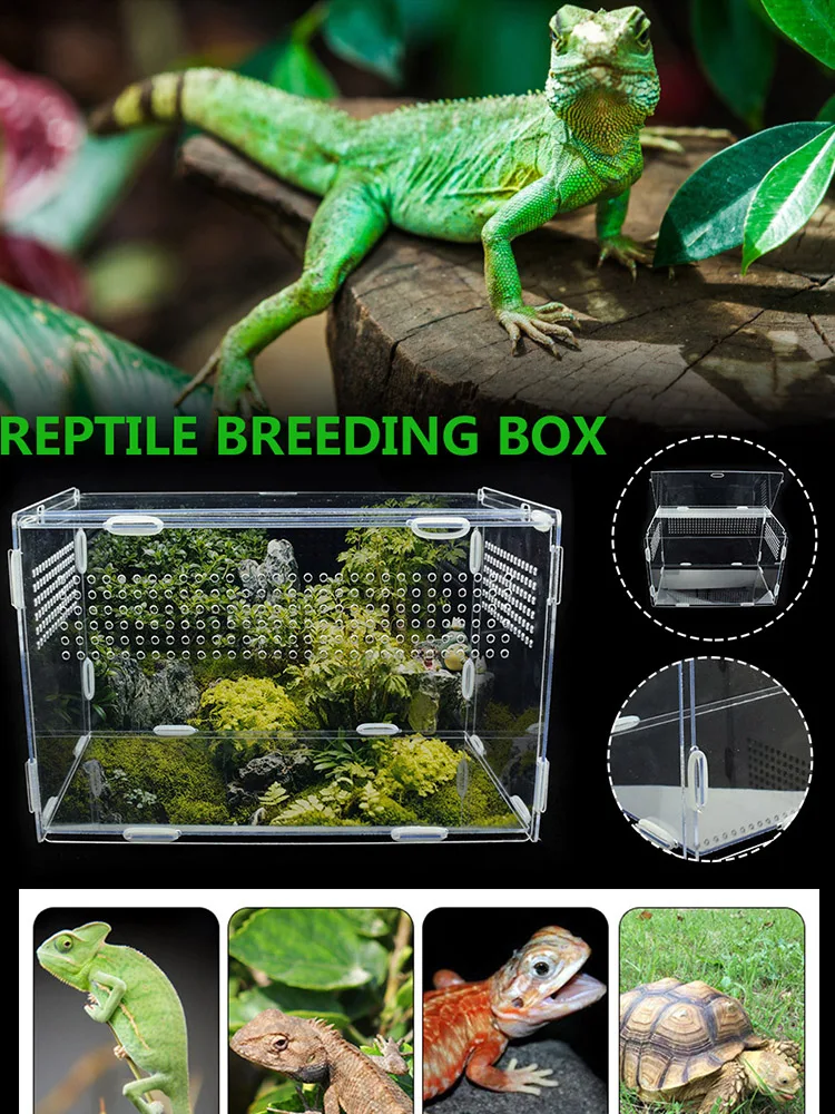 Reptile Breeding Box Acrylic Spider Lizard Scorpion Transparent Insect Breathable Terrarium
