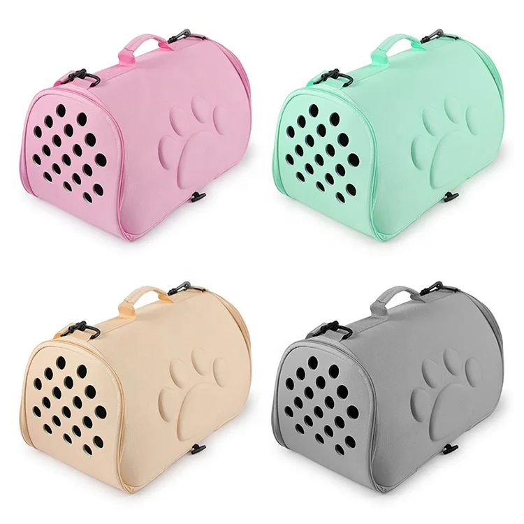 portable reptile carrier