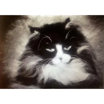 

Set for felting (painting color wool) 'котейка' 21x29,7 cm (A4)