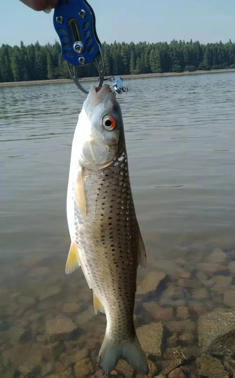 1Pcs 3,5g 5g 7g Metall VIB Lockt 3D Augen lebendige Vibrationen Löffel Köder Angeln köder Bass künstliche Harten Köder Crankbait Tackle – Detail 2