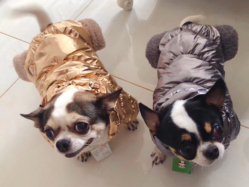 O1CN018E8zjB2IFITMmKHMY_!!0-rate