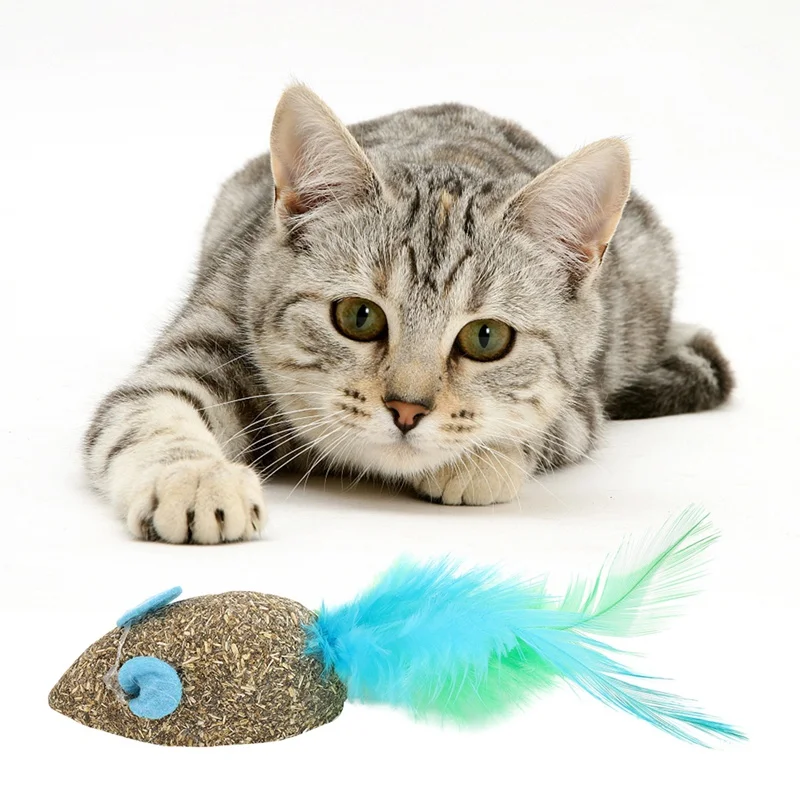 Cat Feather Toy Natural Catnip Treat Ball Favor Chasing Pet Toys Healthy100% Safe Edible Treating Cats Play molar mouse Toy 1