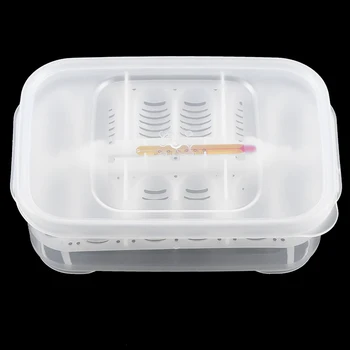 

Practical Plastic 12 Holes Reptile Egg Incubation Tray With Thermometer Incubating Snake Eggs Incubation Tool Terrariums