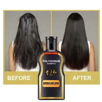 

30ml Polygonum Shampoo Grey Reverse Hair Color Shampoo Anti-Dandruff Anti Hair Loss Scalp Treatment Hair Color Shampoo TSLM2