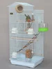 European luxury parrot cage bird cage budgie parrot myna xuanfeng large giant oversized villa breeding cage ► Photo 2/5