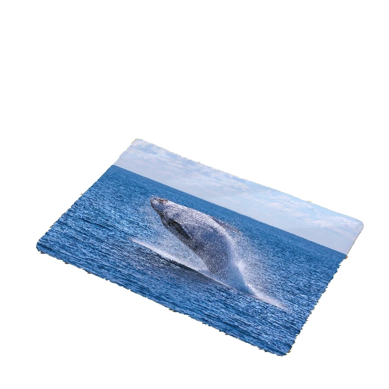 CAMMITEVER Whale Sea Non Slip Bedroom Rug Carpet Floor Cover Decoration Custom Mats | Дом и сад